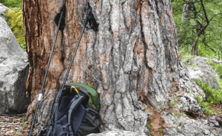 Kjempen i Litjvonsjørøsta